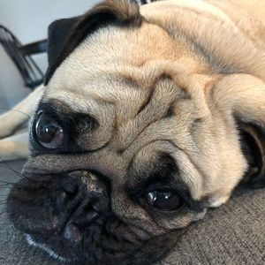 Meet your Posher, Jill